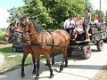 DSCF9957 (Medium)